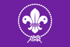 140px-World_Organization_of_the_Scout_Movement_flag.svg